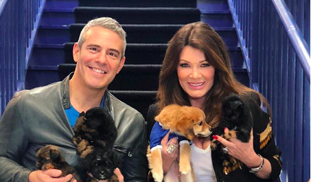 ‘RHOBH’: Andy Cohen Doesn’t Want Lisa Vanderpump Off