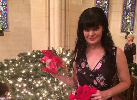 ‘NCIS’ Boss Insists Pauley Perrette’s Assault Claim Against Mark Harmon Is Resolved