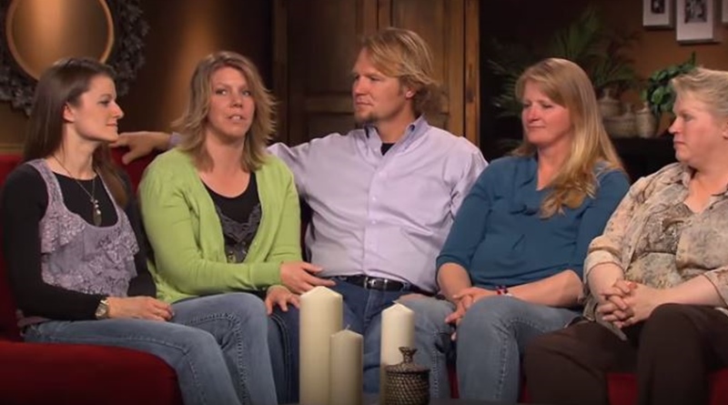 sister wives join gwen brown for polar express adventure