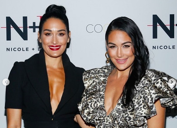 The Bella Twins Rumored Pregnant At The Same Time On Purpose