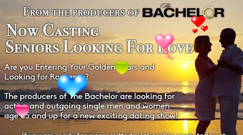 The Bachelor Seniors Looking For Love
