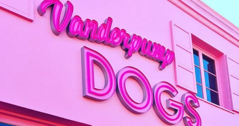 ‘VPR’ Star Lisa Vanderpump’s Dog Rescue Faces Lawsuit