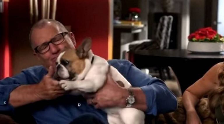 ‘Modern Family’: Sad News Comes Out That Frenchie, Stella (Beatrice), Died