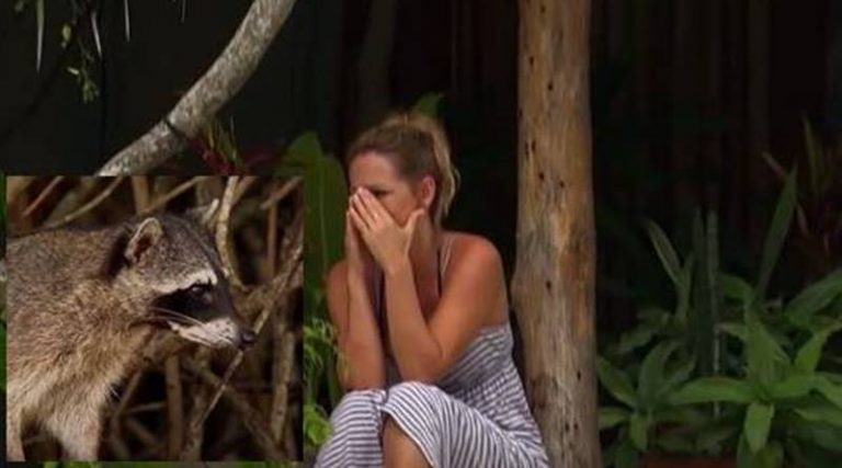 ‘The Bachelorette’: Clare Crawley Does More Than Talk To Raccoons – Holds Down A Real Job