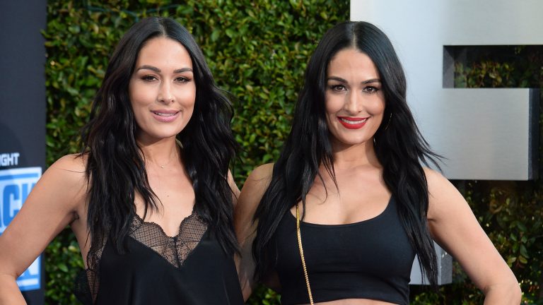 How Are The Bella Twins Handling Their Pregnancies While Quarantined?