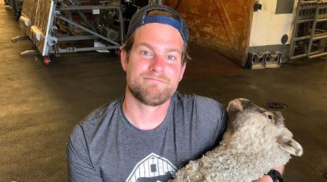 ‘Saved By the Barn’ News: An Update on Ginger the Lamb