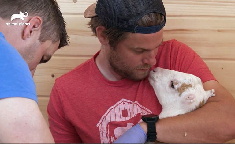 ‘Saved By The Barn’ Exclusive: Lola The Goat Will Make You Cheer, Prosthetic Legs Give Her New Life