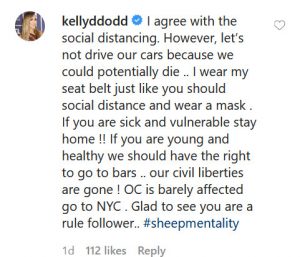 RHOC Kelly Dodd's Comment On Shannon Beador's Instagram