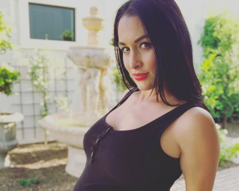 Nikki Bella, Instagram, Total Bellas