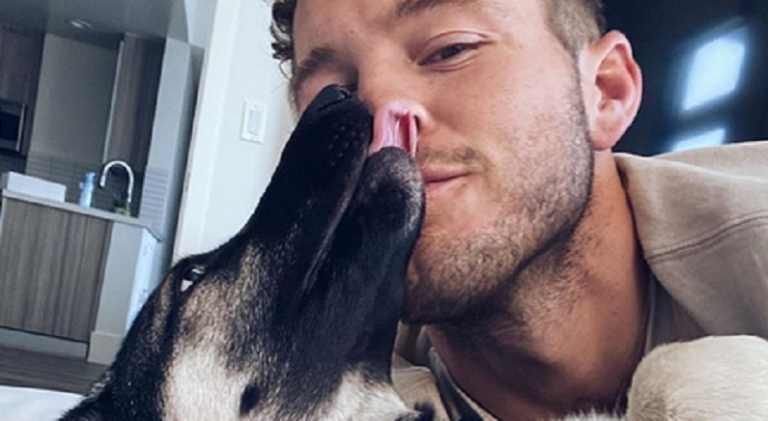 Colton Underwood Made A Full Recovery From Coronavirus