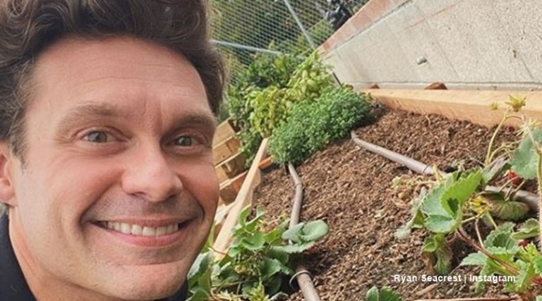Ryan Seacrest and Shayna Taylor Split Up, This Time Possibly For Good