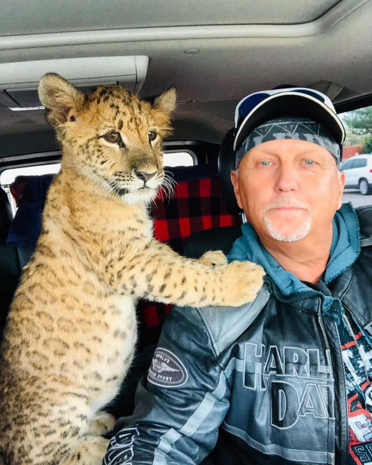 ‘Tiger King’ Jeff Lowe to Consider Homing Michael Jackson’s Elephants and Other Animals in New Zoo