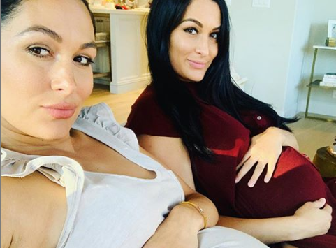 ‘Total Bellas’ Stars Brie And Nikki Share Nude Maternity Photos
