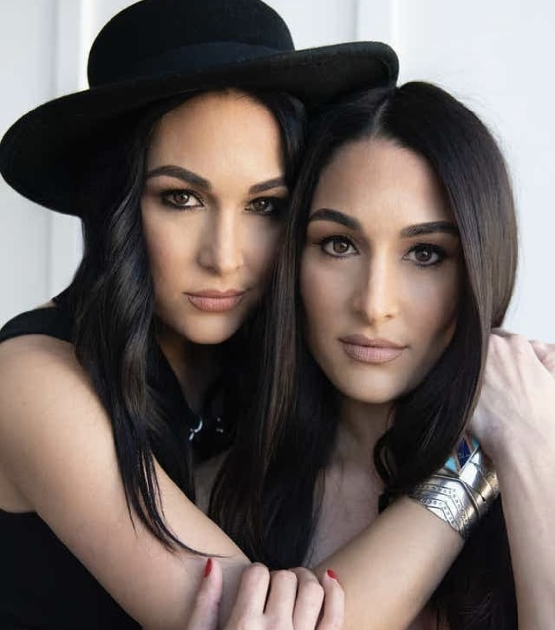 List 90+ Pictures Pictures Of Nikki And Brie Bella Excellent