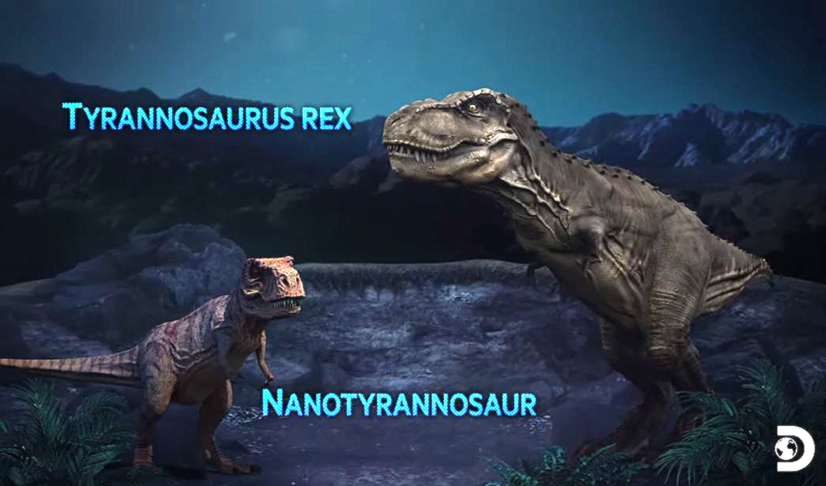 Dino Hunters Nano and T-Rex