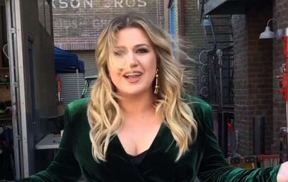 Kelly Clarkson Claps Back At Twitter Troll