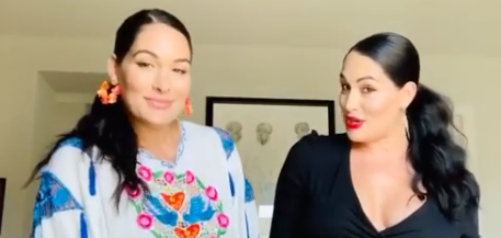 Here’s How The Bella Twins Gave Birth Together Amid A Pandemic On Different Days
