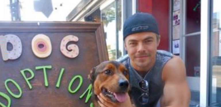 Derek Hough to Return to ‘DWTS’ Season 29, But in What Role?