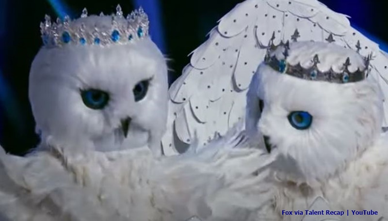 The Masked Singer Snow Owls