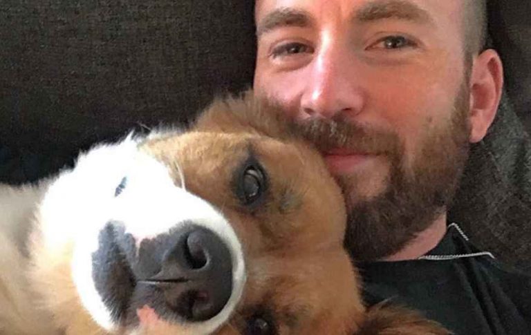 Chris Evans Handles Accidental Explicit Photo Leak With The Best Comeback Ever