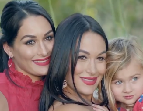 ‘Total Bellas’ Teases Nikki And Brie’s Birth Stories