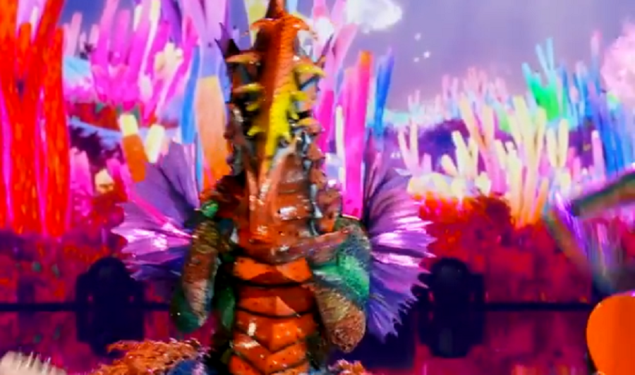 the masked singer seahorse instagram clip