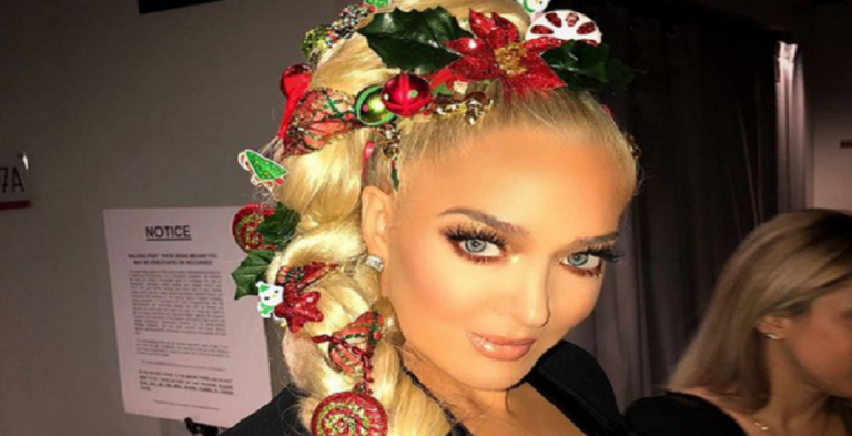 Erika Jayne Is In The Holiday Spirit, But Fans Are Not Feeling It