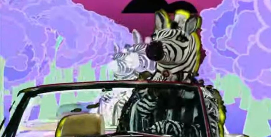 The Masked Dancer Zebra