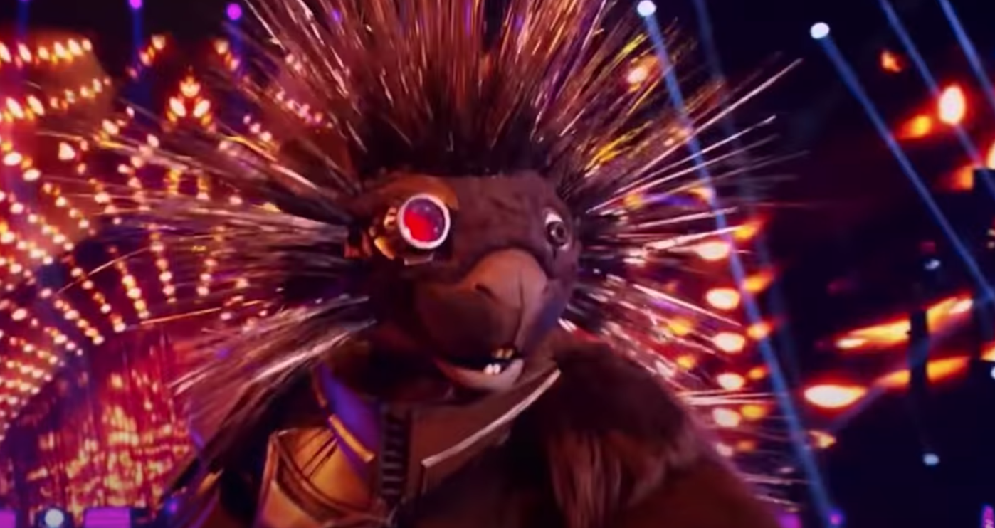 Masked Singer Porcupine from Youtube