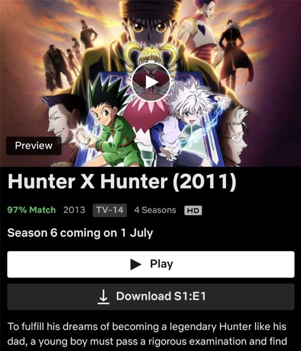 Anime Fans BLAST Netflix: Where's 'Hunter X Hunter' Season 5 & 6?!