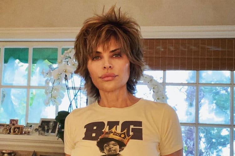 Lisa Rinna Sued For Copyright Infringement: What Did She Steal?