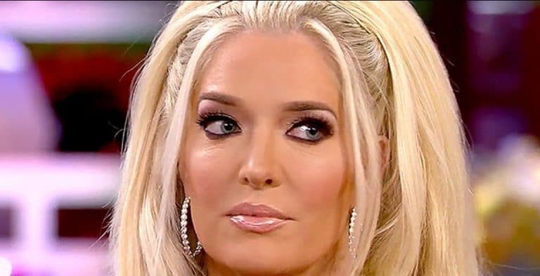 Does Erika Jayne Only Care About Herself Amid Embezzlement Case?