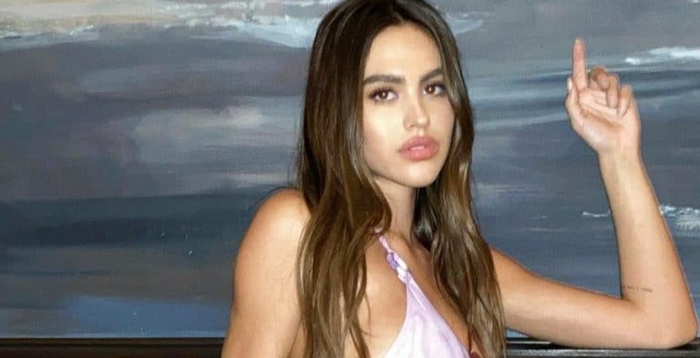 Amelia Hamlin Poses Topless On Instagram Amid Fashion Month