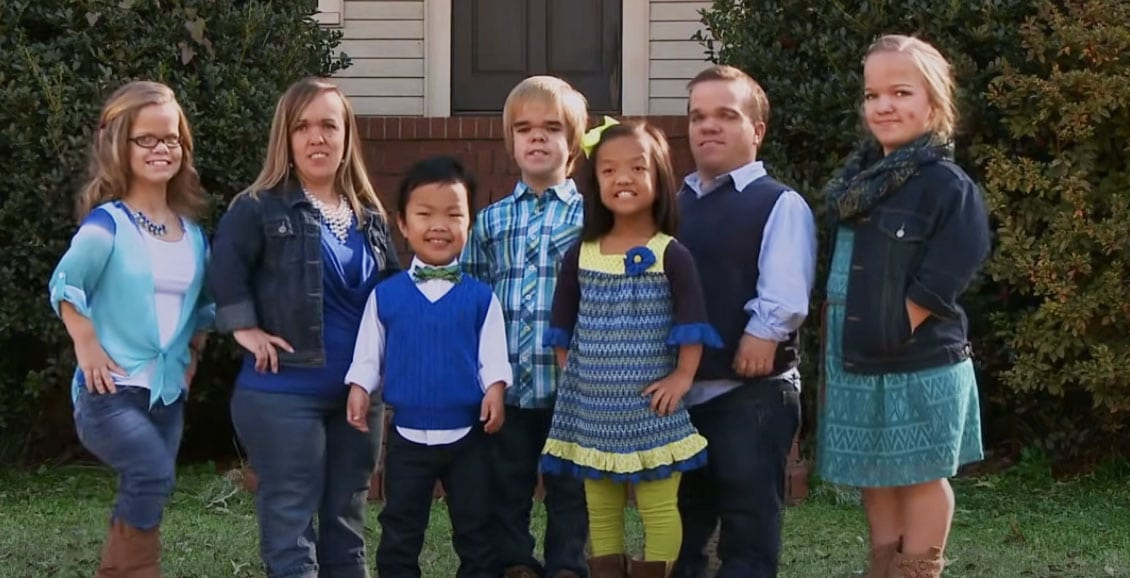 7 Little Johnstons