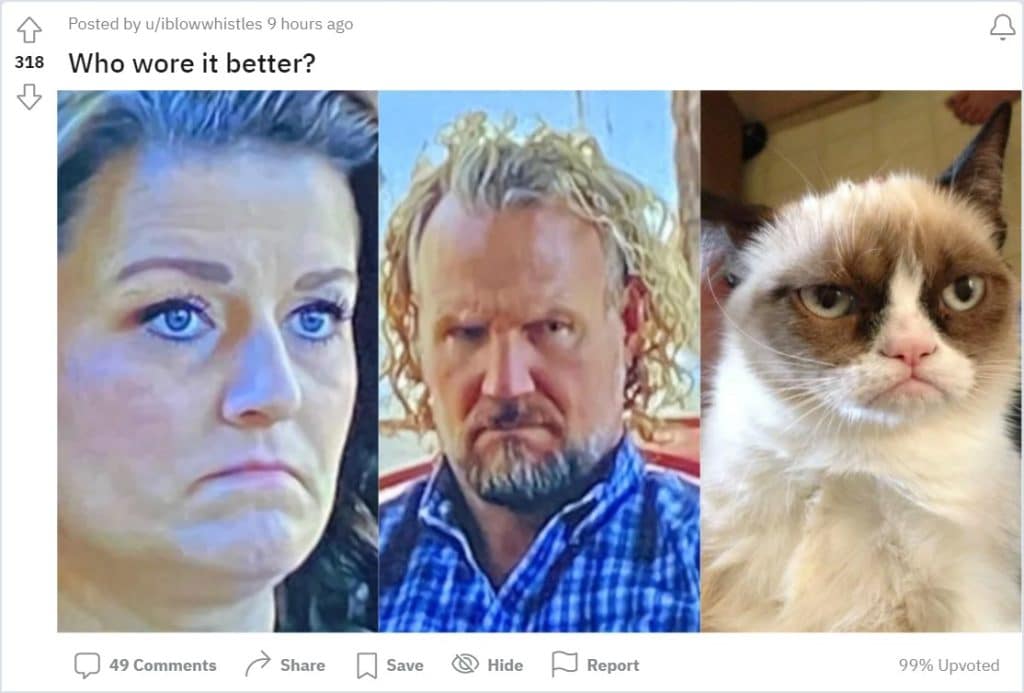 Kody, Robyn Brown, Grumpy Cat