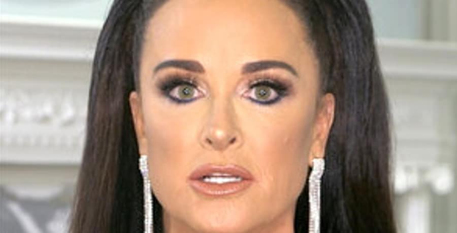 Did Kyle Richards Husband Cheat On Her? [Credit: YouTube]