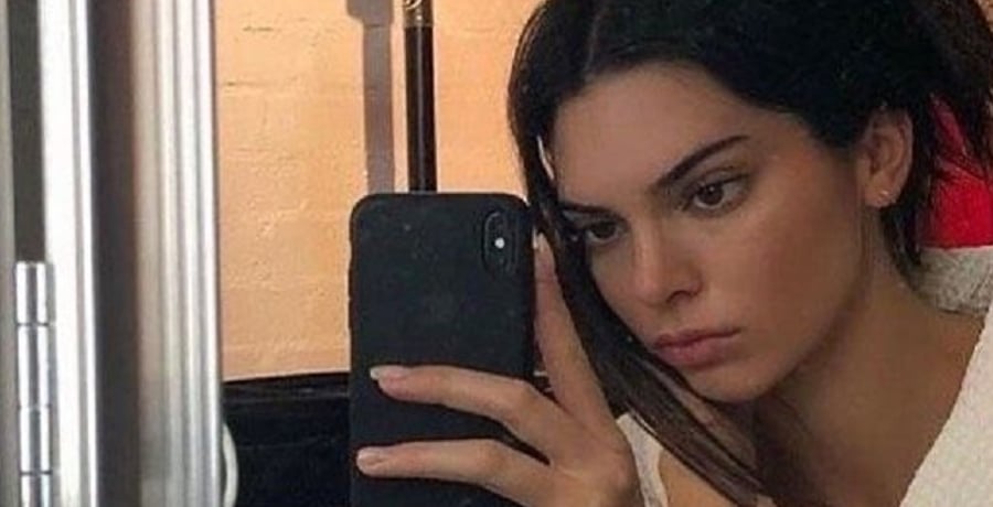 Kendall Jenner Shocks Kardashian Fans With Totally Different Photos [Credit: Kendall Jenner/Instagram]