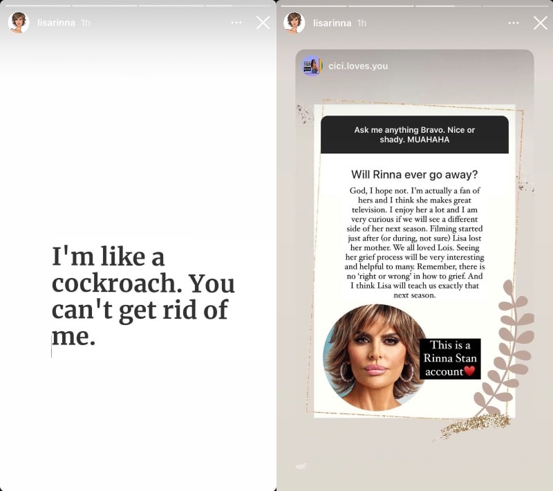 Lisa RInna Compare Herself To A Cockroach [Credit: Lisa Rinna/Instagram Stories]