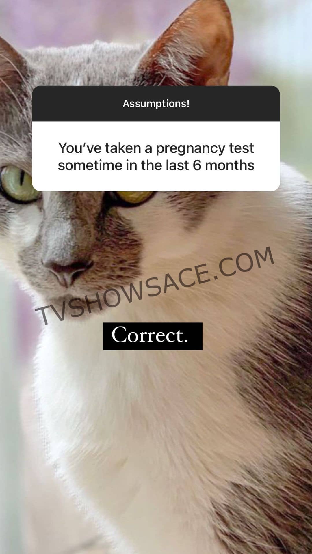 "Youve taken a pregnancy test sometime in the last 6 months." "Correct."