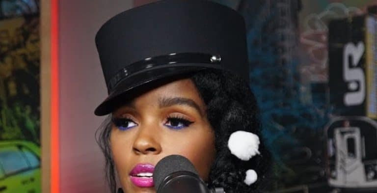 Janelle Monae Turns Up The Heat In Strapless Red Bikini [Credit: YouTube]