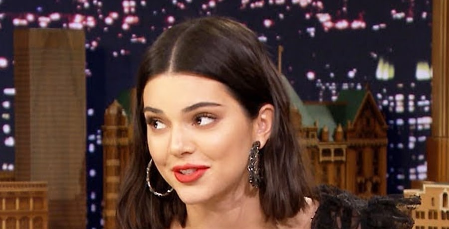 Clueless Kendall Jenner Endangers Family Pet In Latest Photo Op? [Credit: YouTube]