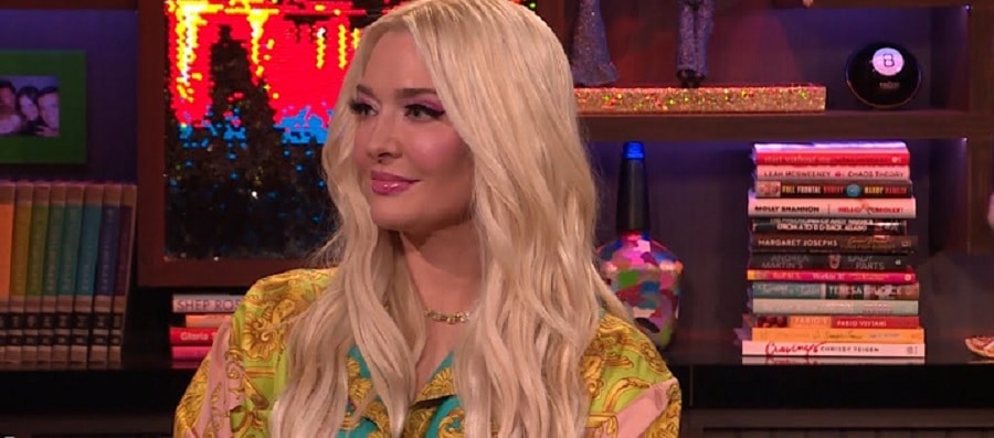 Erika Jayne's Update On Tom Girardi [Credit: Bravo TV/YouTube]