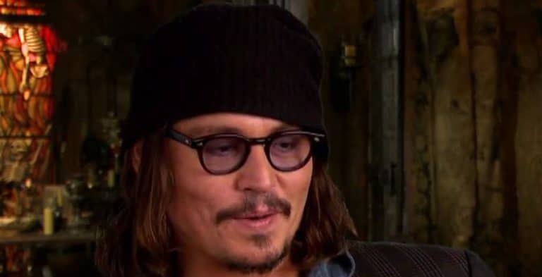 Is Johnny Depp Dating His Brunette Bombshell Attorney?