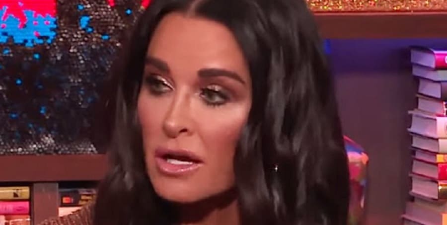 Kyle Richards Vows To Change Laws [Credit: Bravo TV/YouTube]