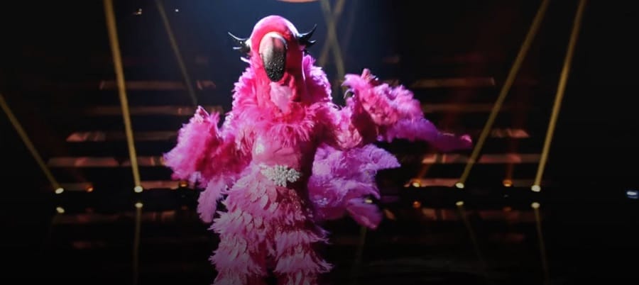 The Masked Singer: Pink Flamingo [Credit: The Masked Singer/YouTube]