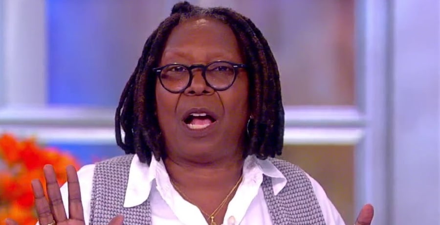 Whoopi Goldberg's Recent Actions On 'The View' Shocks Viewers [Credit: YouTube]