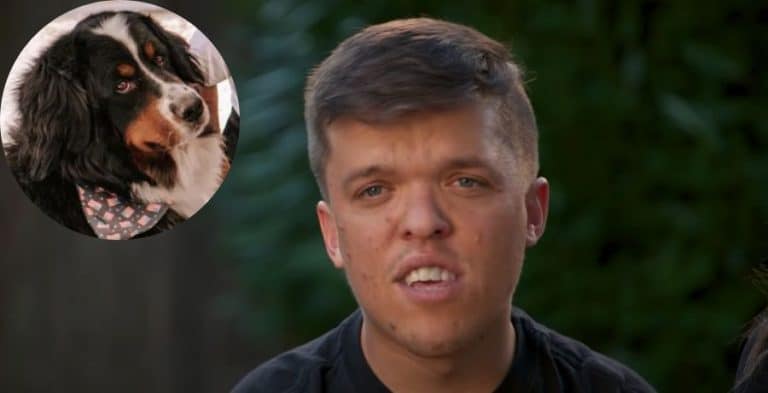‘LPBW’ Fans Call Zach Roloff ‘Disgusting’ Over Murphy’s Treatment?