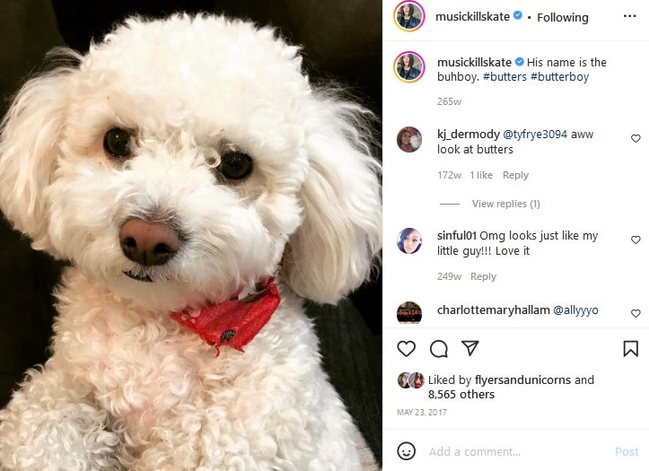 Katie Maloney Dog Post [Katie Maloney | Instagram]