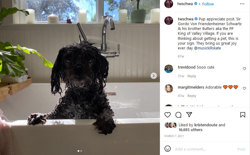 Tom Schwartz Dog Post [Tom Schwartz | Instagram]
