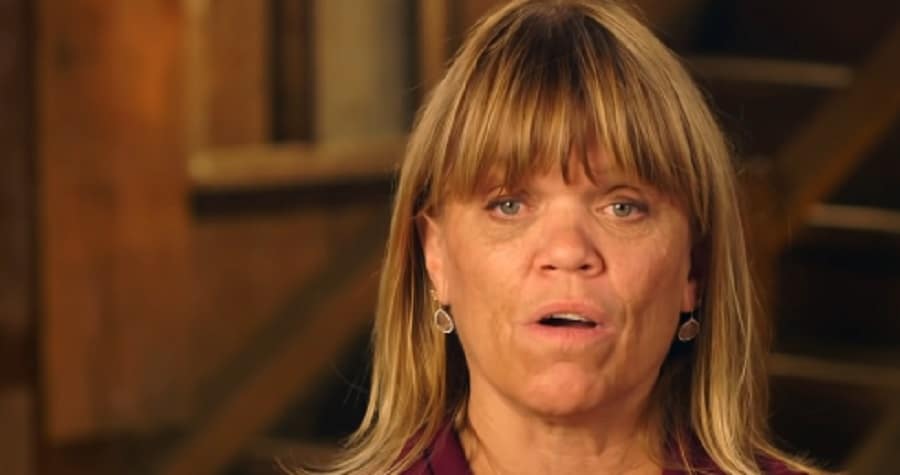 Amy Roloff Comments On LPBW Season 23 [TLC | YouTube]